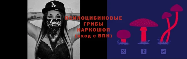 прущая мука Осинники