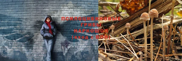 прущая мука Осинники