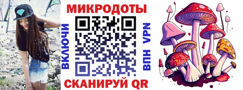 Галлюциногенные грибы Psilocybine cubensis даркнет сайт Новохопёрск