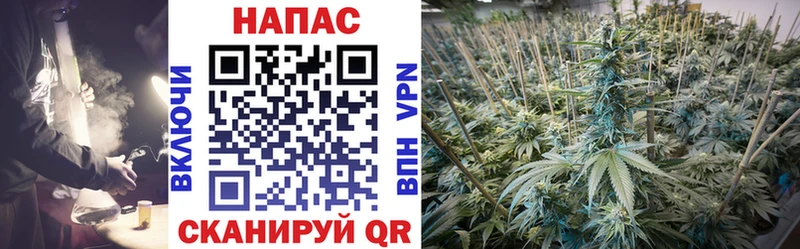 хочу   Новохопёрск  Конопля THC 21% 